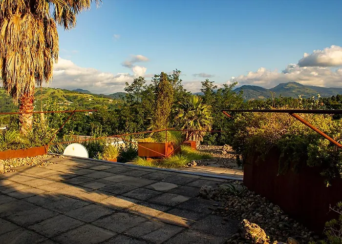 Nola * サン・セバスティアン