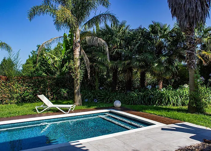 Nola * サン・セバスティアン