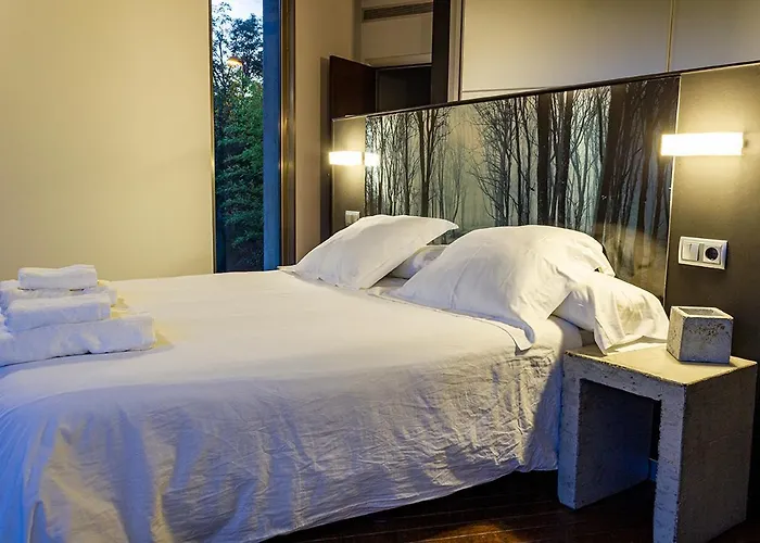 Nola * サン・セバスティアン