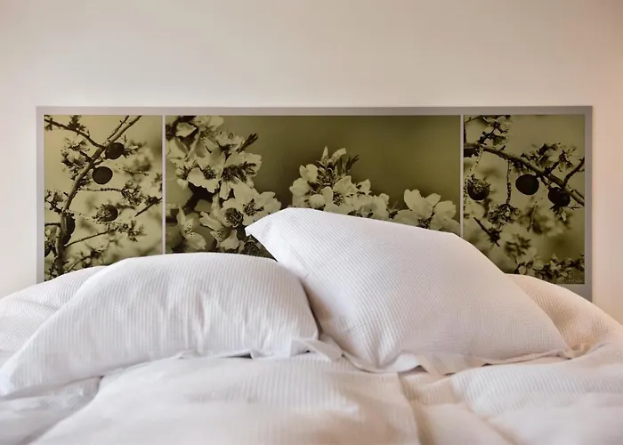 Villa Nola San Sebastian